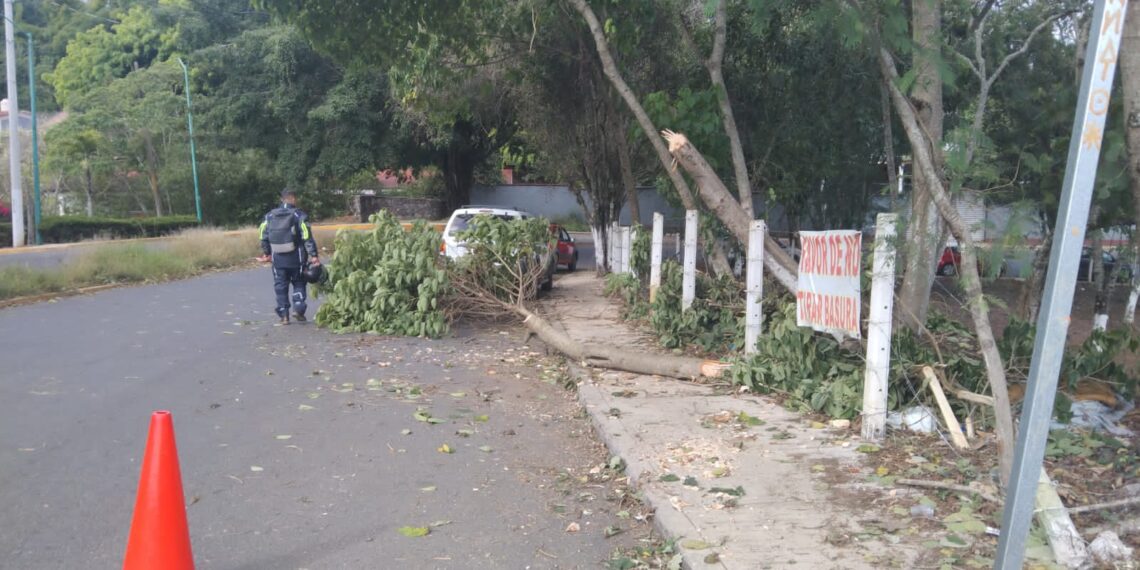 En Xalapa, solo afectaciones menores por el Frente Frío 14