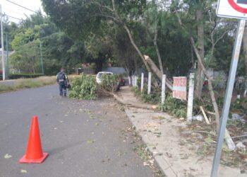 En Xalapa, solo afectaciones menores por el Frente Frío 14