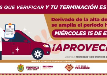 Plazo de verificación vehicular en Veracruz se amplía hasta el 15 de enero