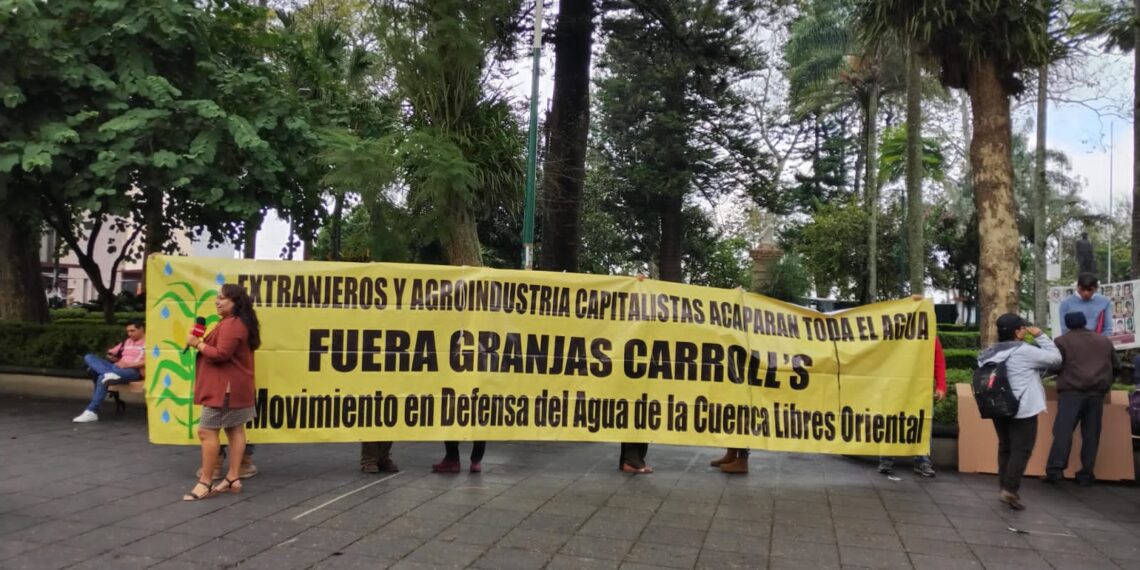 Denuncian impunidad en el caso Totalco, Granjas Carroll sigue operando con normalidad