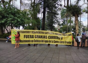 Denuncian impunidad en el caso Totalco, Granjas Carroll sigue operando con normalidad