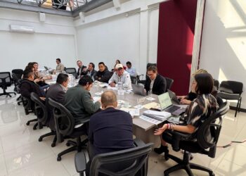 165 municipios van en coalición Morena/Verde/PT: Esteban Ramírez Zepeta