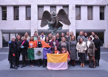 Analizan diputadas propuestas para tipificar el delito de violencia vicaria