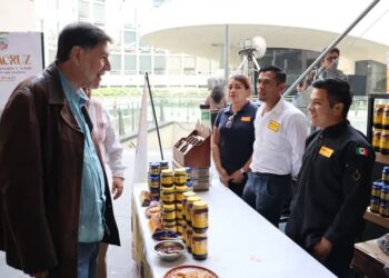 En Veracruz, si podrán postularse todos, hasta los familiares directos para las alcaldías: Noroña