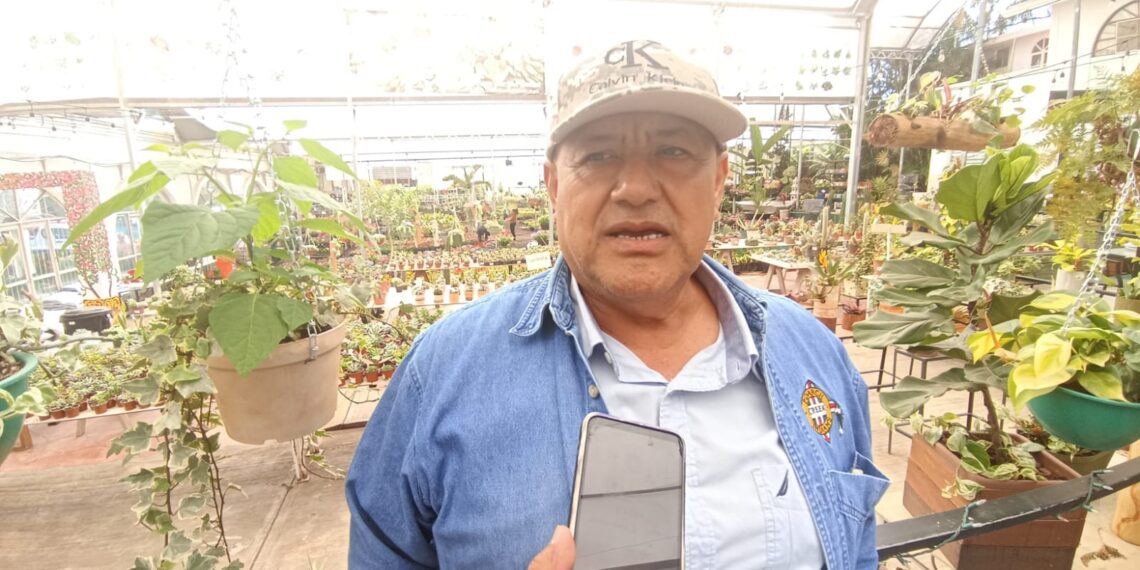 En Xalapa, la floricultura se suma al cuidado del medio ambiente y su comercialización da sustento a cientos de familias