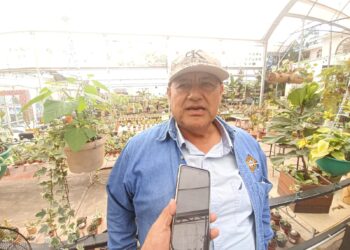 En Xalapa, la floricultura se suma al cuidado del medio ambiente y su comercialización da sustento a cientos de familias