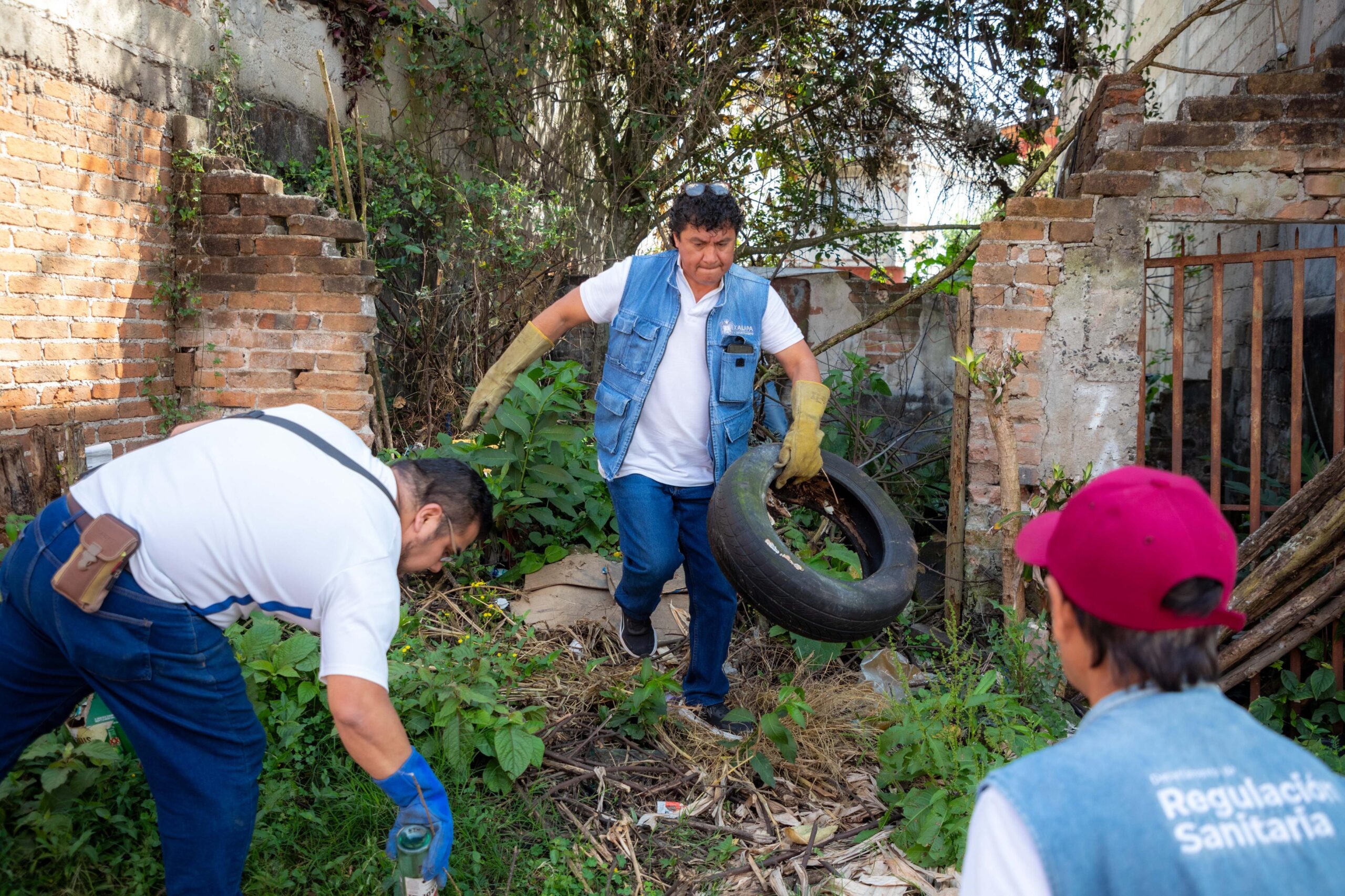 En Xalapa, lucha permanente contra el dengue