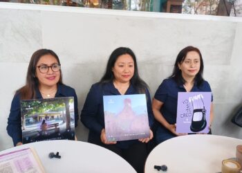 Xalapa en primer lugar de embarazo infantil con 43 casos: Equifonía