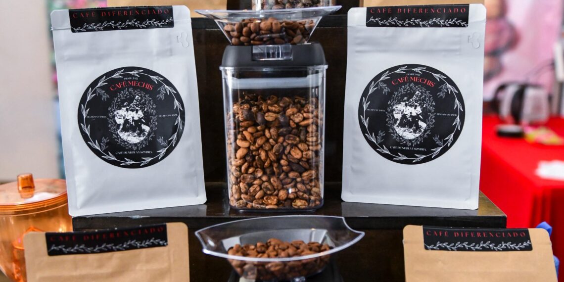 Inicia festival “Xalapa, Caféy Aroma 2025”