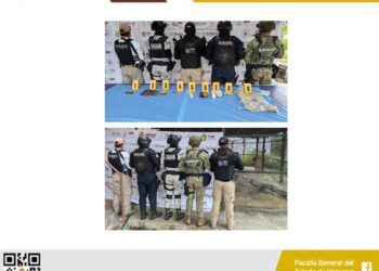 FAUNA PROTEGIDA Y OBJETOS ASEGURADOS EN OPERATIVO DE CATEO CON FUERZAS FEDERALES Y ESTATALES EN TIERRA BLANCA