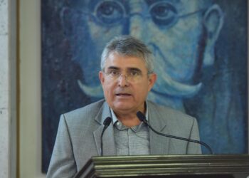 Plantea diputado reforzar protección de la fauna marina en el litoral veracruzano