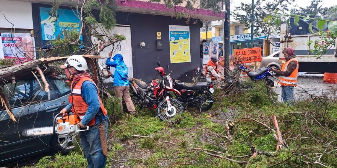 Atiende PC Municipal afectaciones por lluvias