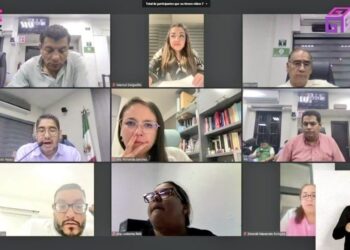 OPLE Veracruz amplía plazo para recepción de postulaciones de candidaturas al cargo de ediles para el Proceso Electoral Local Ordinario 2024-2025