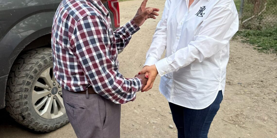 Militancia y ciudadanos, piden el rescate de Pánuco: Tava Ortega