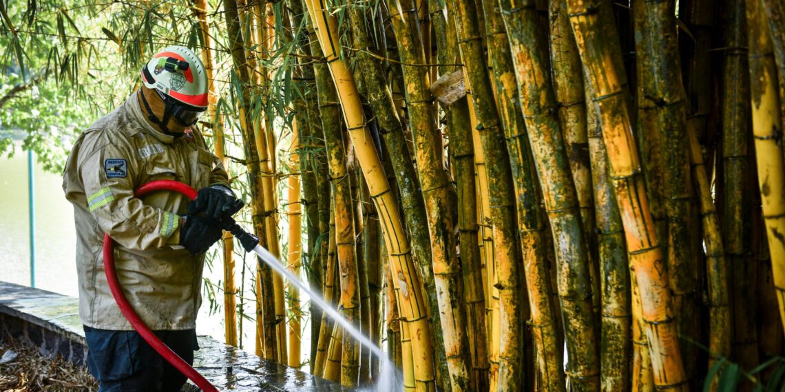 Controla PC Municipal incendio en zona de Los Lagos