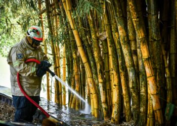 Controla PC Municipal incendio en zona de Los Lagos