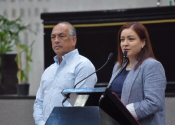 Exhorta diputada a que se amplíe atención médica en hospitales de Papantla y Espinal