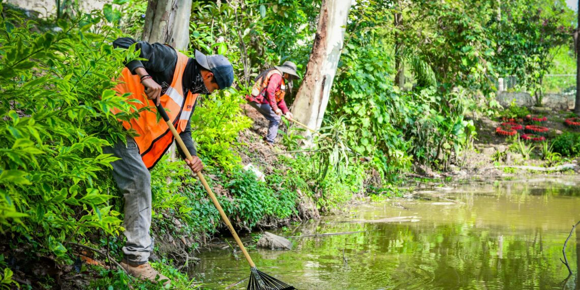 Realiza Ayuntamiento acciones de limpieza en Laguna de Casa Blanca