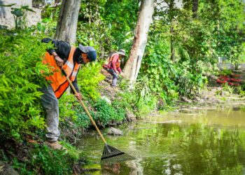 Realiza Ayuntamiento acciones de limpieza en Laguna de Casa Blanca