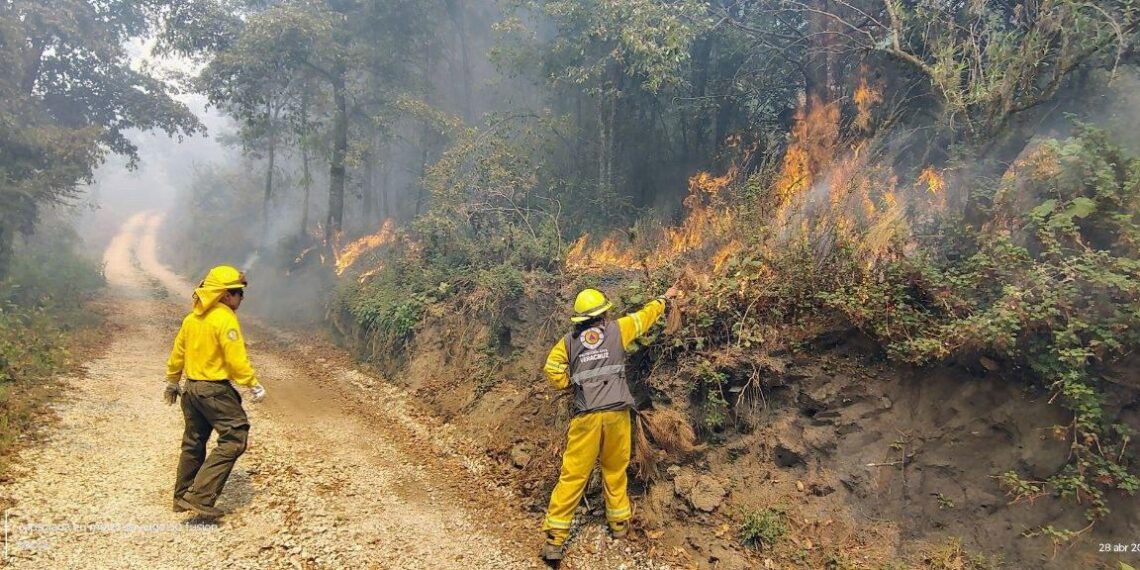 Gobierno de Veracruz mantiene control de cuatro incendios forestales