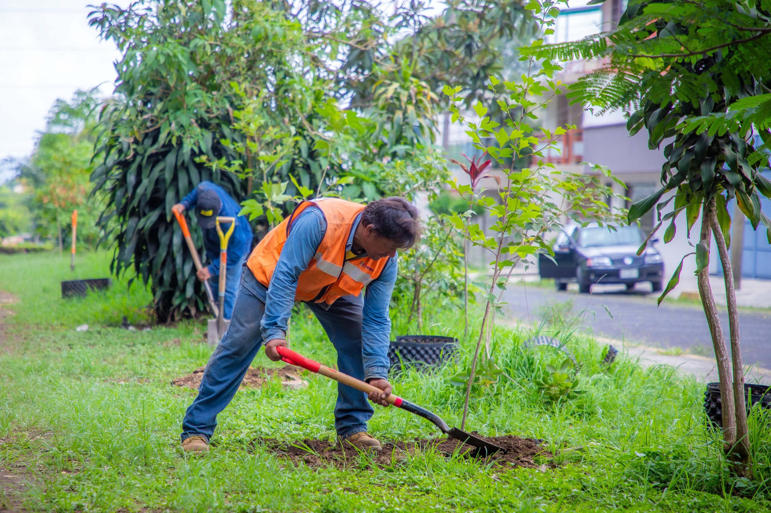Celebrará Xalapa Día del Medio Ambiente con jornada de reforestación