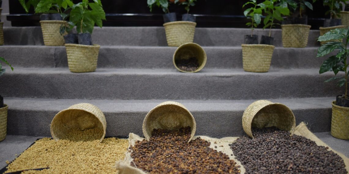 Crea Congreso Comisión Especial que atenderá la cafeticultura