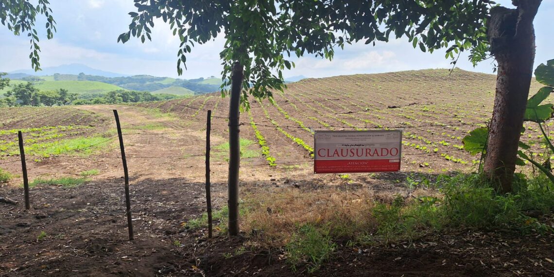 Clausura PROFEPA sembradío expuesto por Rafa Fararoni que contaminaba cuerpo de agua en San Andrés Tuxtla