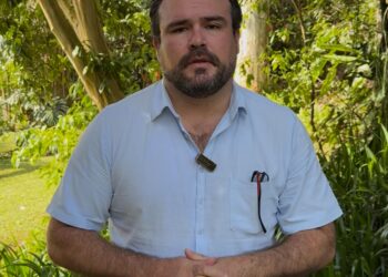 Diputado federal denuncia tala ilegal en el Cofre de Perote