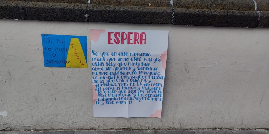 Diputado xalapeño pide medidas estrictas para evitar que personas se avienten del puente Xallitic