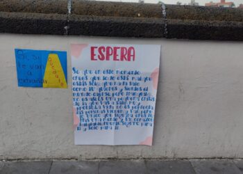Diputado xalapeño pide medidas estrictas para evitar que personas se avienten del puente Xallitic