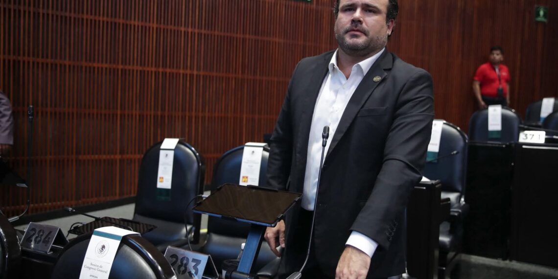 Diputado federal Adrián González Naveda denuncia tala inmoderada en el Cofre de Perote