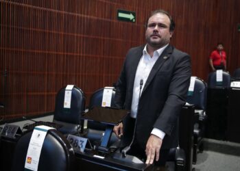 Diputado federal Adrián González Naveda denuncia tala inmoderada en el Cofre de Perote