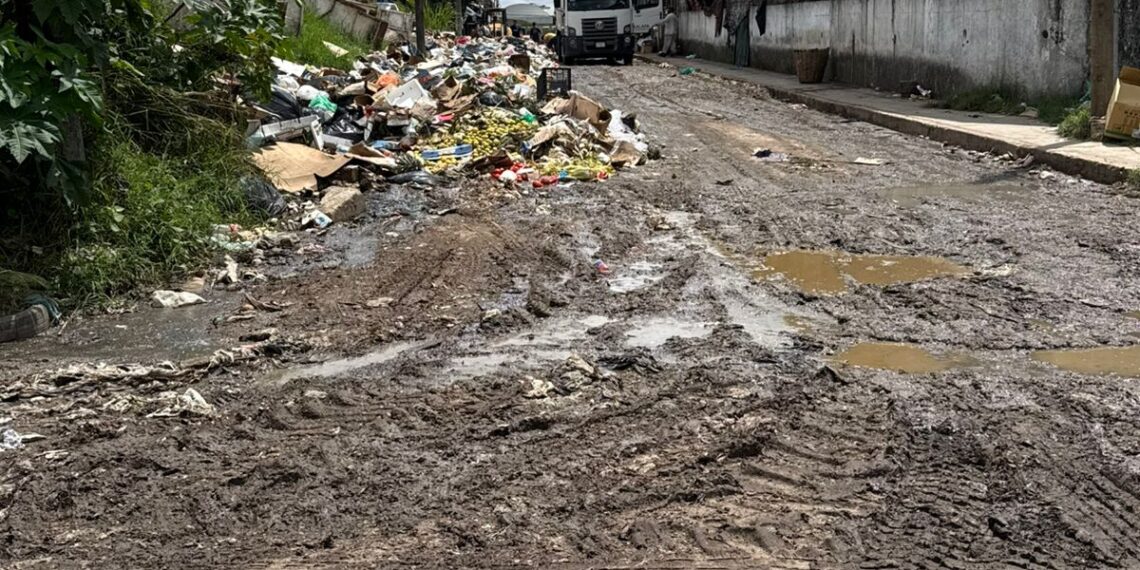 En colonia Ingenio de Xalapa no pasa el camión de basura, las calles están llenas de desechos