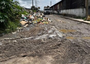 En colonia Ingenio de Xalapa no pasa el camión de basura, las calles están llenas de desechos