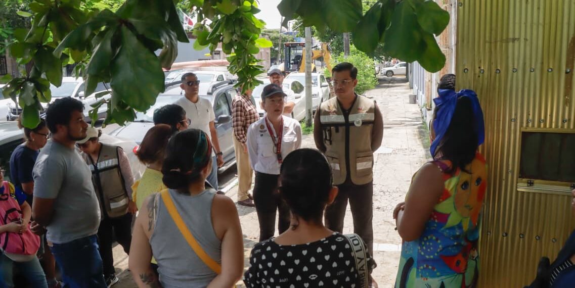 PMA garantiza atención veterinaria y adopciones responsables de animales en refugios