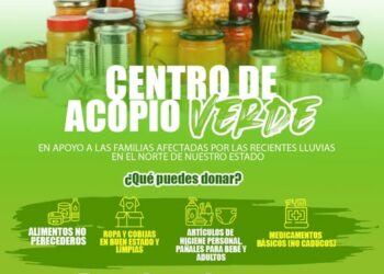 Partido Verde Veracruz se suma en apoyo a familias afectadas por lluvias en la zona norte