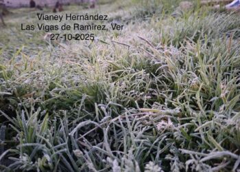 Segunda helada en Las Vigas, este lunes amaneció cubierta de escarcha