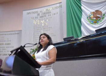 Ante desastres naturales, unidad, empatía y cooperación, llama diputada