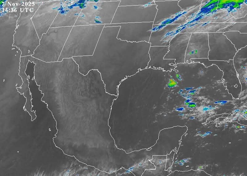 Se activa alerta gris para Veracruz por Frente Frío 13