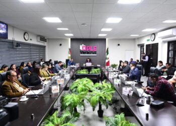 Consejo General del OPLE Veracruz asigna regidurías en 126 ayuntamientos