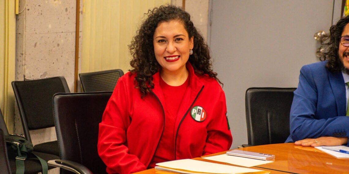 Proyecto de presupuesto del Estado no cubre necesidades de los veracruzanos: Diputada