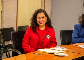 Proyecto de presupuesto del Estado no cubre necesidades de los veracruzanos: Diputada