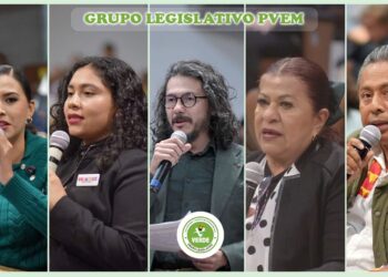Orden, inversión histórica y rendición de cuentas en primer año de Rocío Nahle: Legisladores del PVEM