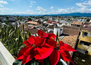 Exhorta Ayuntamiento a colaborar en el cuidado de la imagen urbana