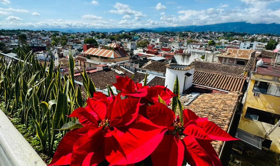 Exhorta Ayuntamiento a colaborar en el cuidado de la imagen urbana