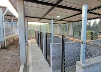 Así es el nuevo albergue para 250 animalitos que tiene la rescatista Ada Azul.