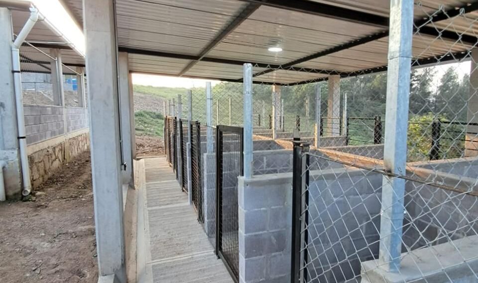 Así es el nuevo albergue para 250 animalitos que tiene la rescatista Ada Azul.