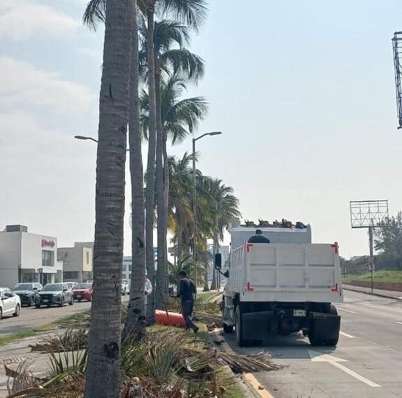 Daños menores en infraestructura urbana deja el Frente Frío 27 en Boca del Río: Alcaldesa Maryjose Gamboa
