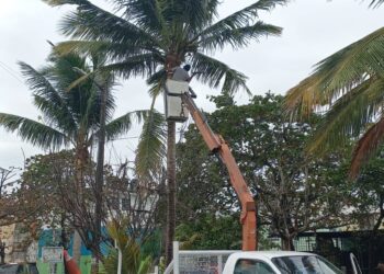 Recorrido sorpresa de Maryjose Gamboa por el Fracc. Las Vegas ya arrojó los primeros resultados