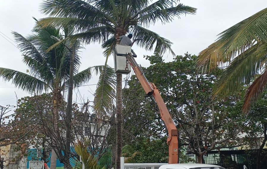 Recorrido sorpresa de Maryjose Gamboa por el Fracc. Las Vegas ya arrojó los primeros resultados